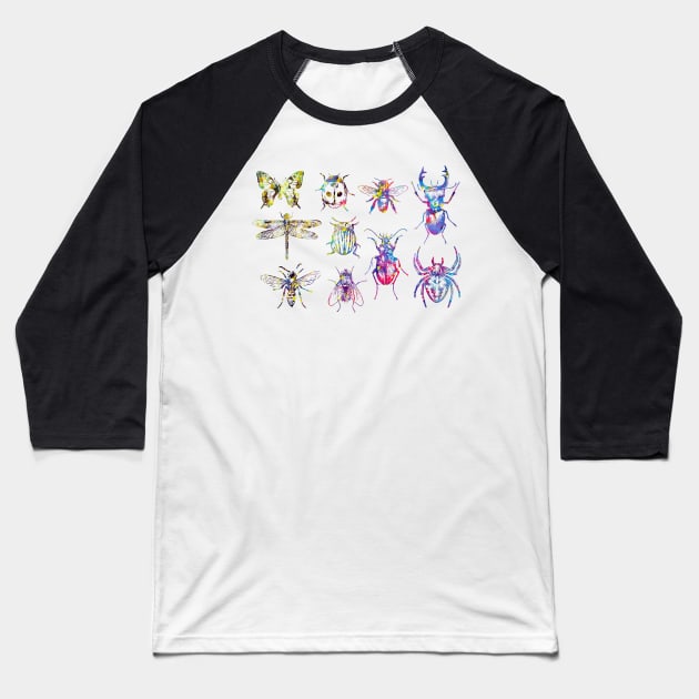 Insect Collection Baseball T-Shirt by erzebeth